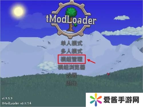 泰拉瑞亚tmodloader